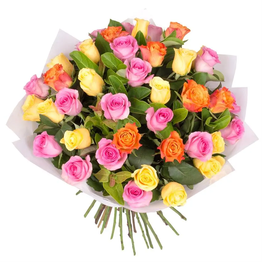 Celebration in Bloom