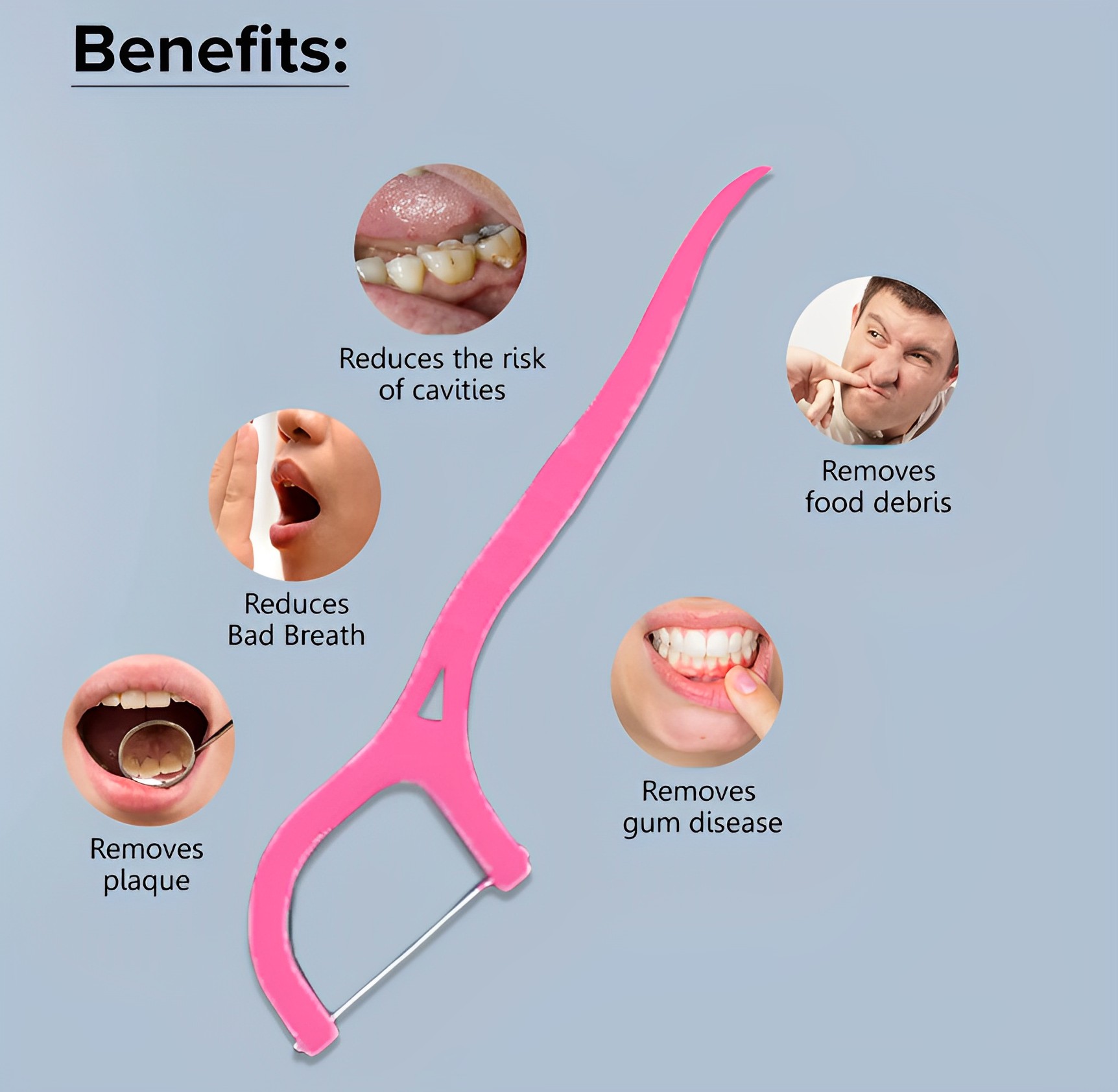 Dental Floss Toothpick 4