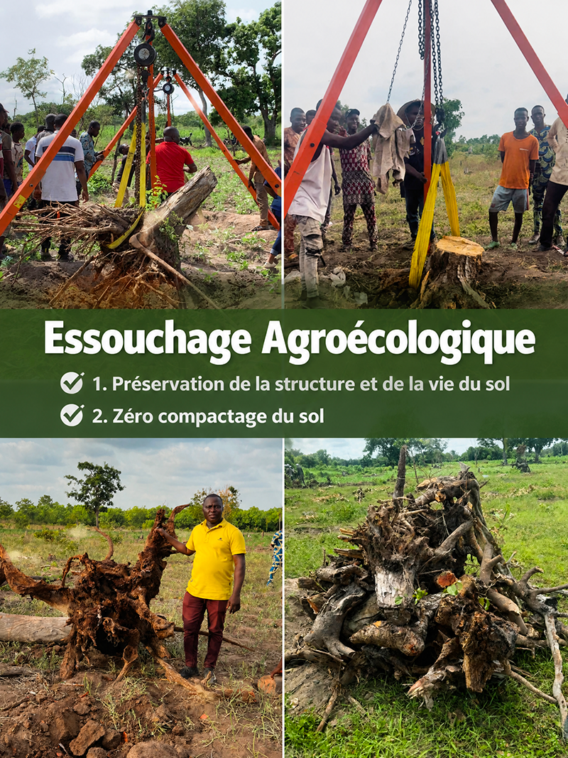 GJSLabs — Agriculture de conservation