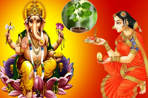Lord Ganesha and Tulasi Devi Connection