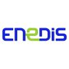 AI agents used by Enedis to automate recurring requests, streamline user journeys, and strengthen the efficiency of public services.