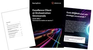 Customer Excellence and Omnichannel Orchestration : What Challenges? How to Implement It ?