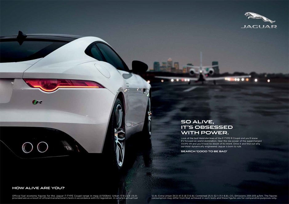 Jaguar Alive