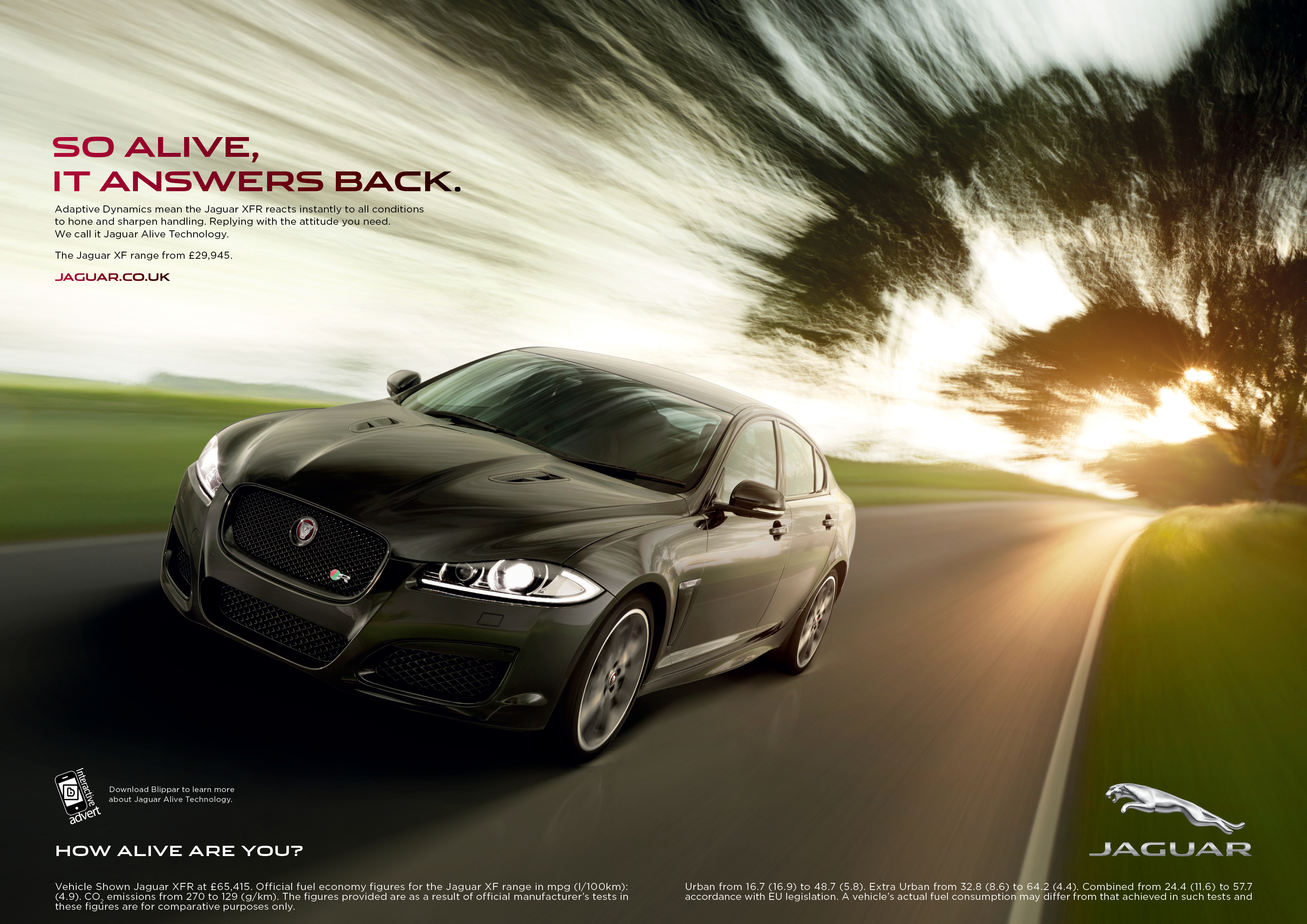 Jaguar Alive Print