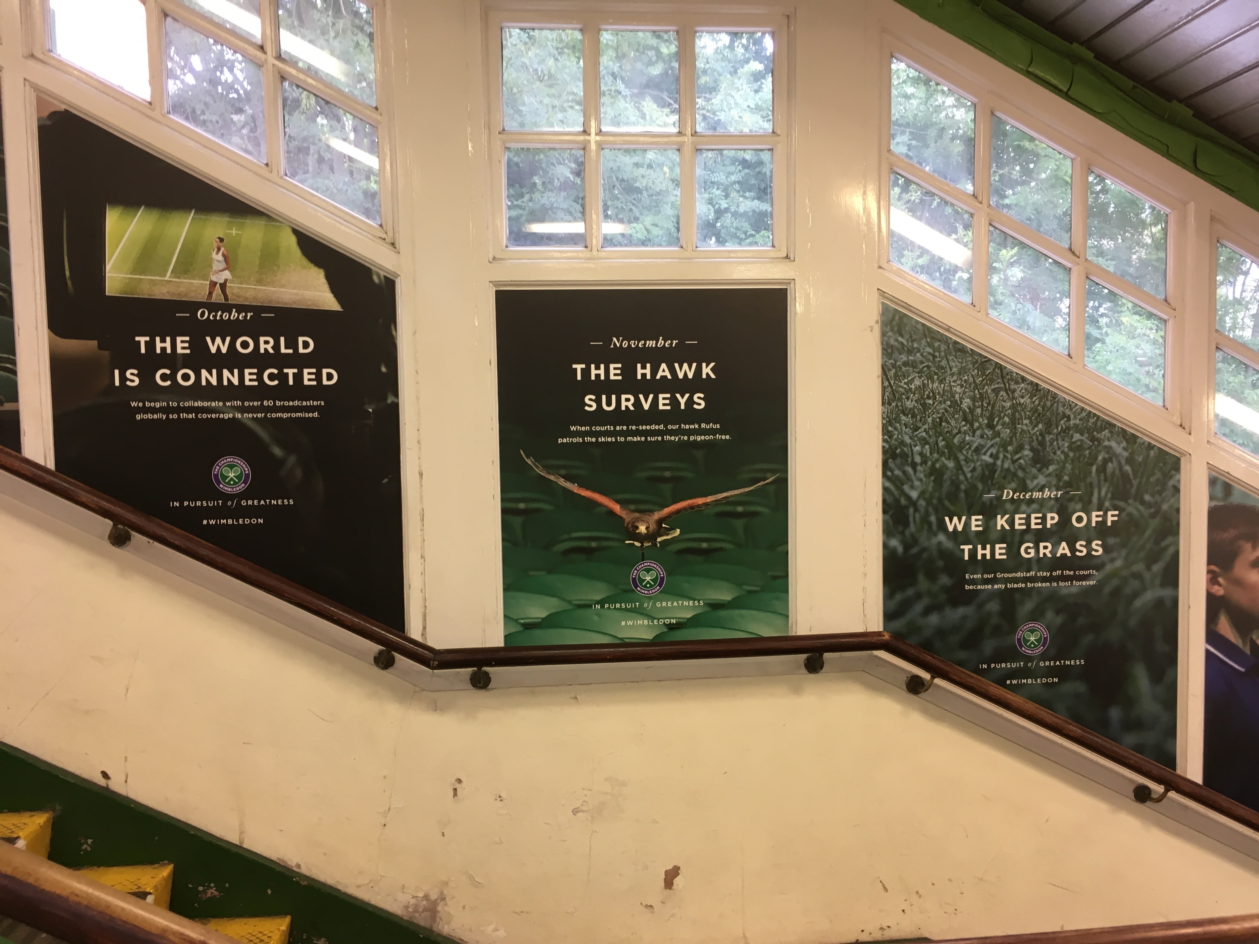 LTA Wimbledon Outdoor