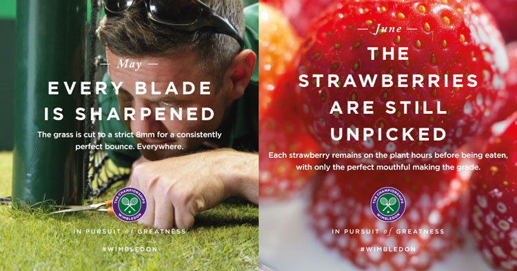 LTA Wimbledon Outdoor