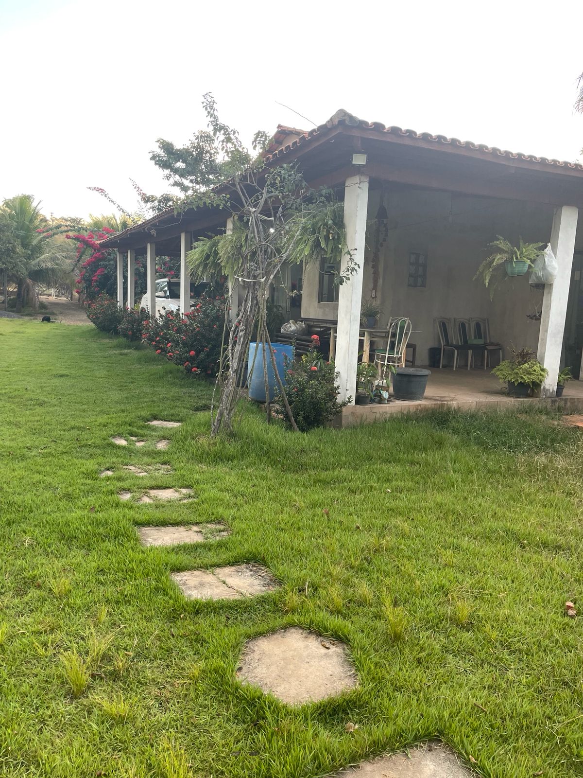Foto 5