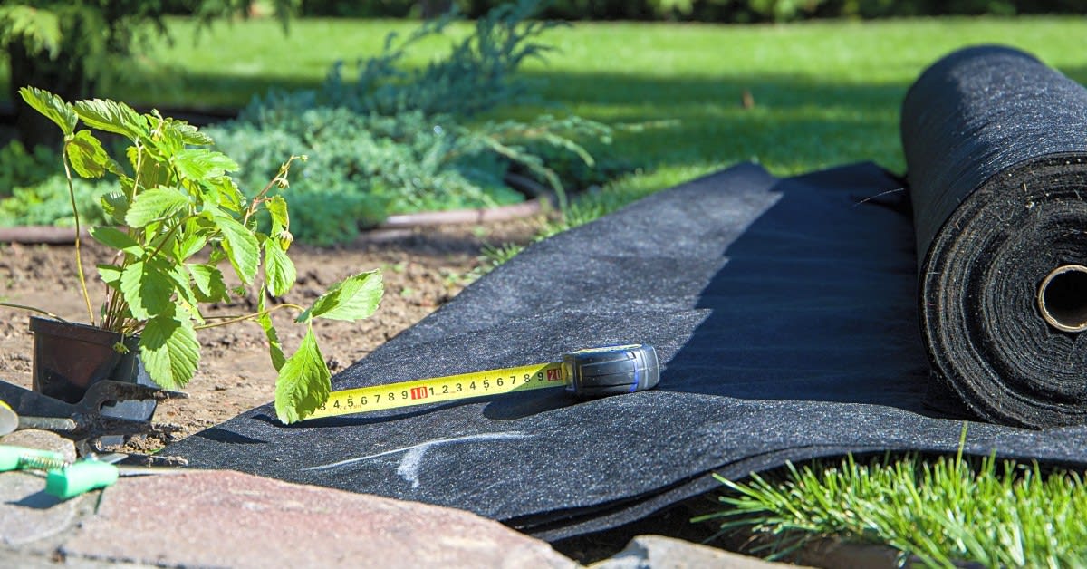 Protect Your Plants with Garden Fabric 👨‍🌾