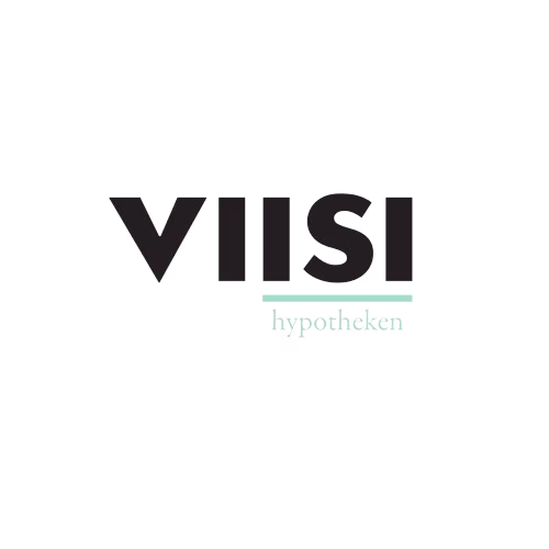 Logo van Viisi N.V.