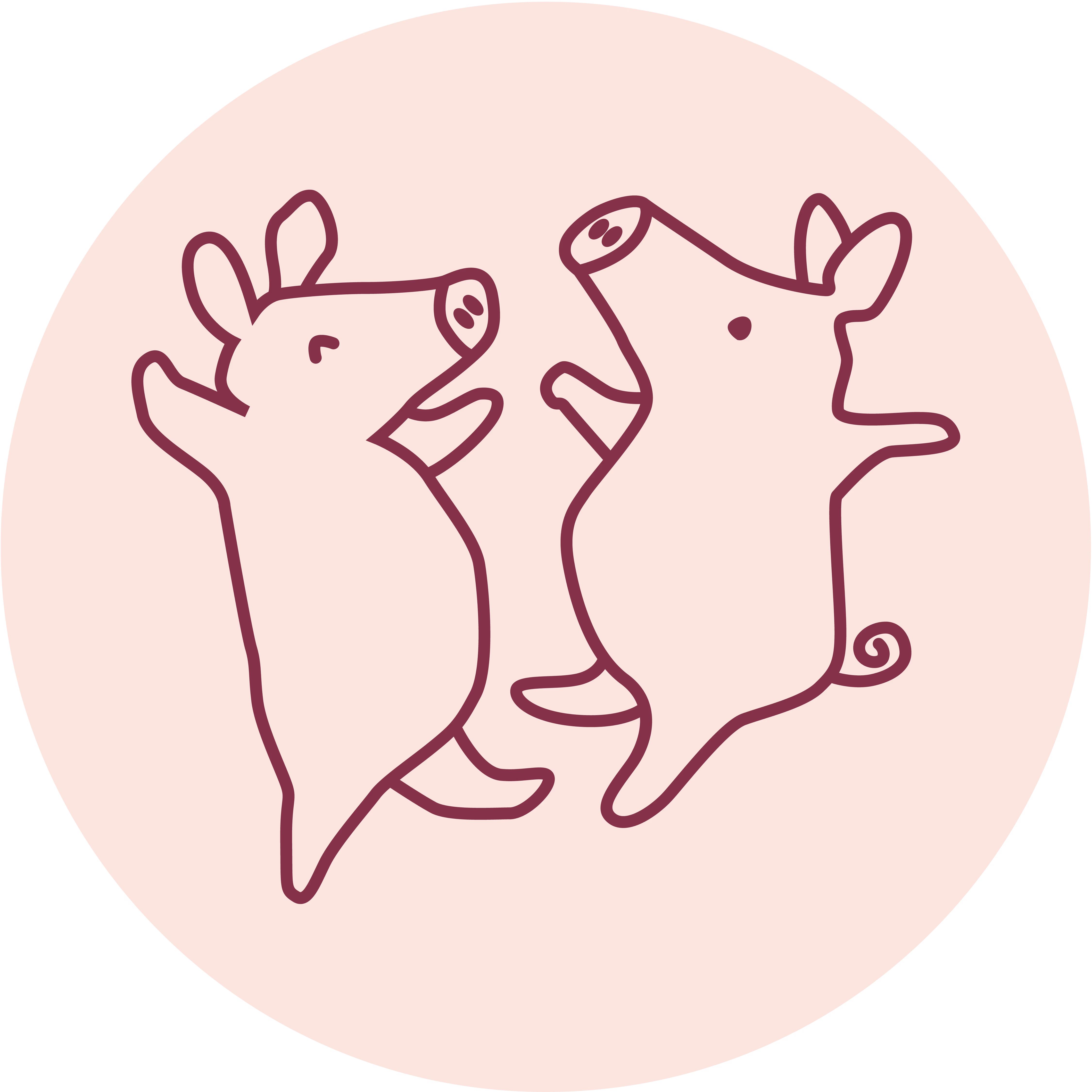 Logo van Varkens in Nood en Dier&Recht