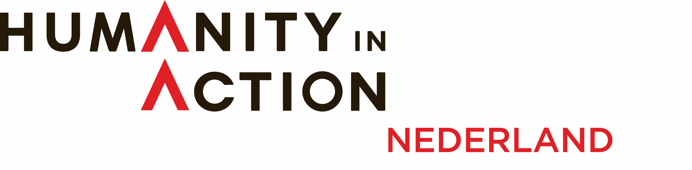 Logo van Stichting Humanity in Action Nederland