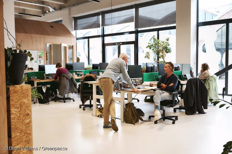 Open kantoorruimte met medewerkers aan bureau's, grote ramen en groene scheidingswanden bij Greenpeace Nederland.