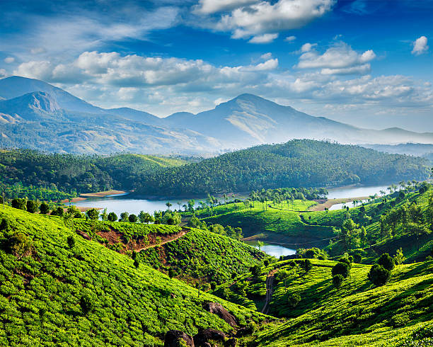 Munnar Travel Places