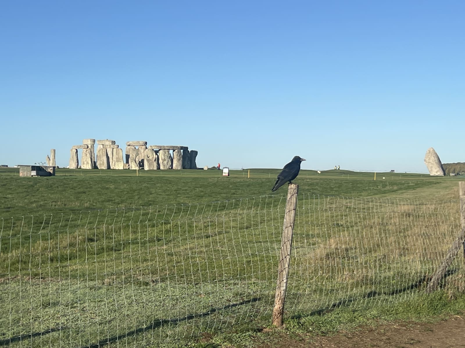 A crow perched on a fence post with Stonehenge in the background
