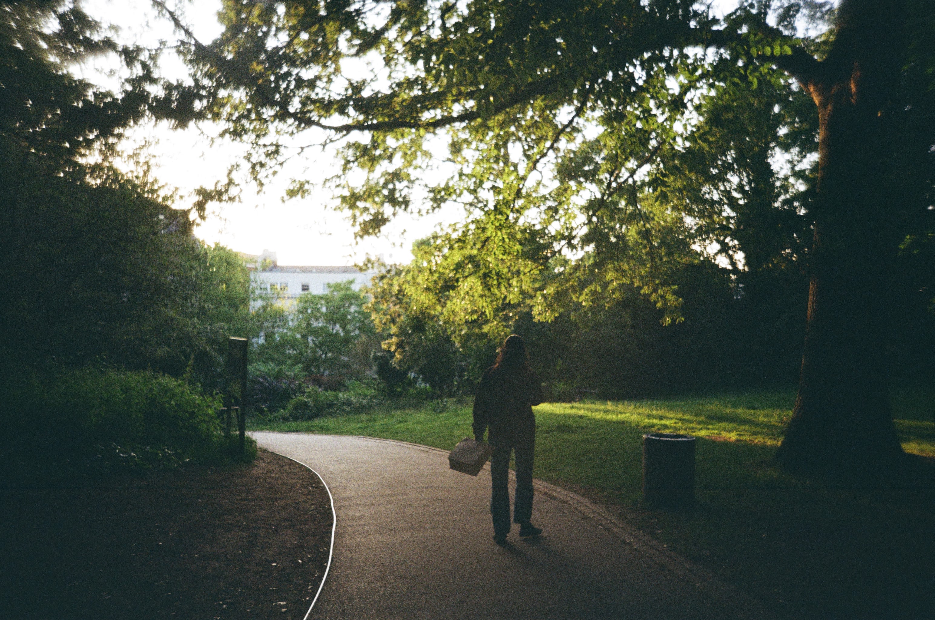 Person walking on a path at Holland Park. The path appears to curve and is framed by trees.