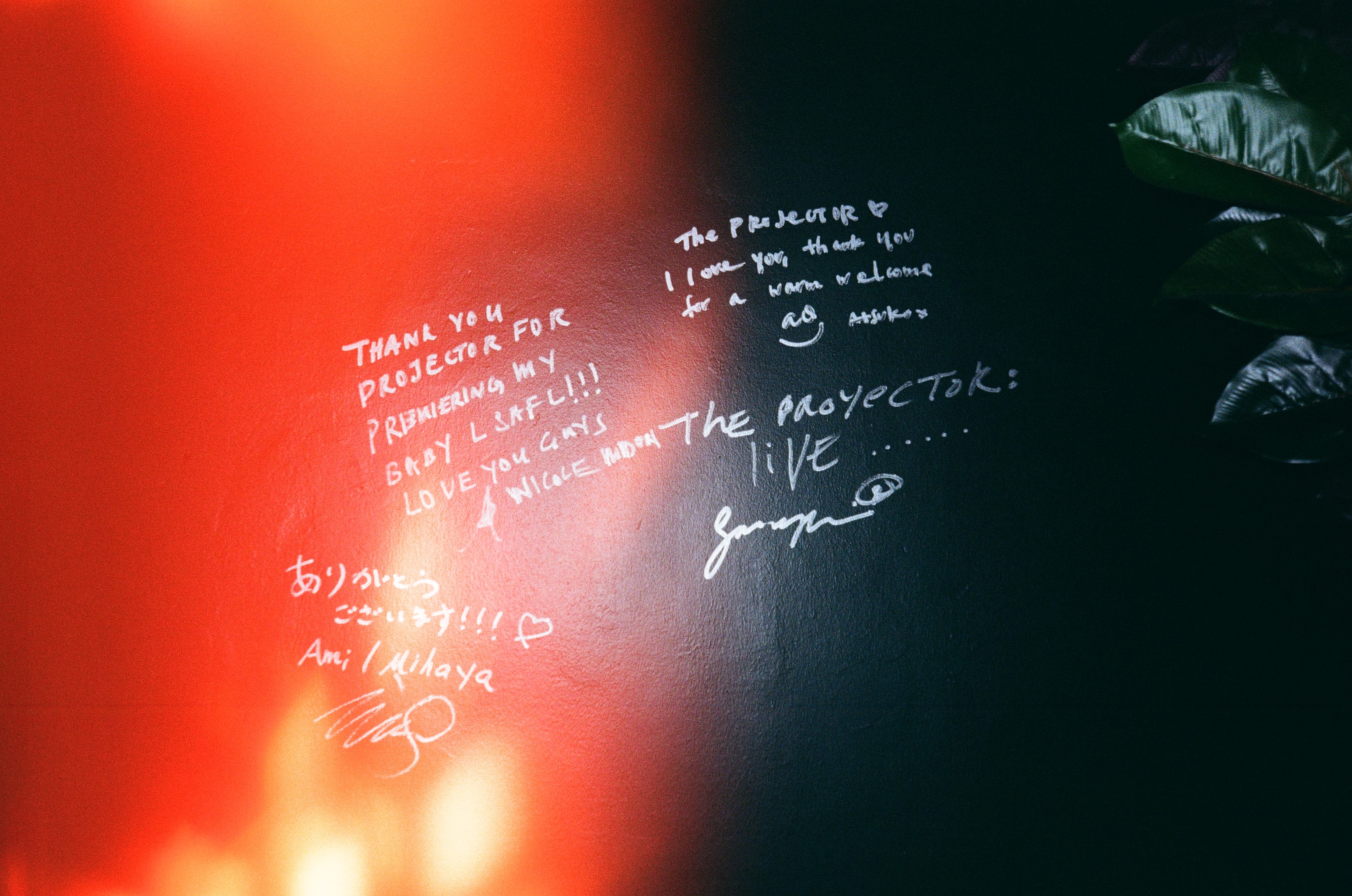 Photo of a wall at The Projector cinema in Singapore with various director/actors&rsquo; signatures and messages