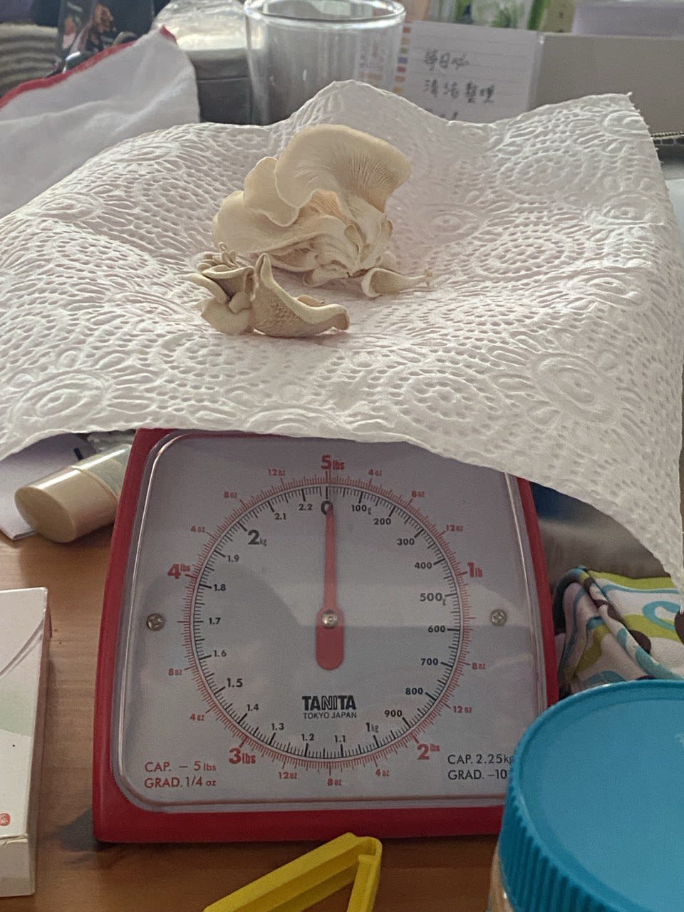 A very sad 10 grams of mushrooms