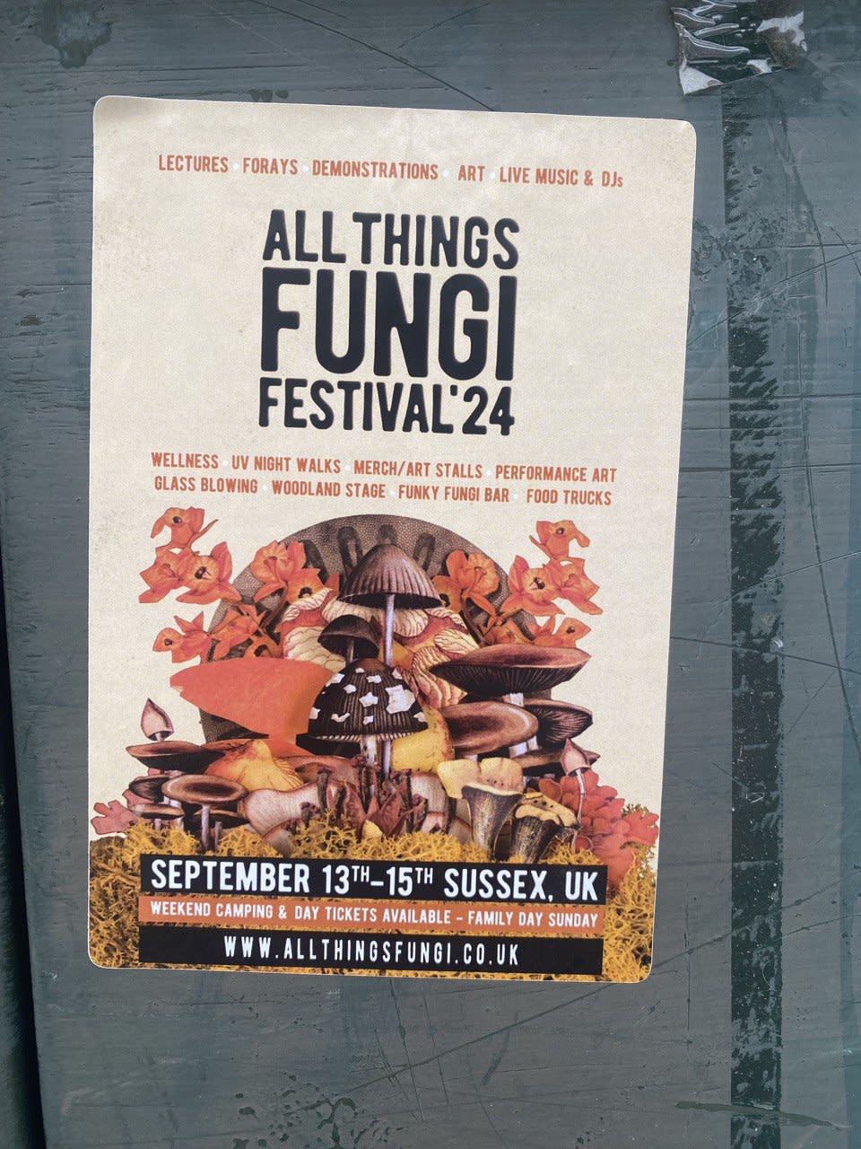 Poster for All Things Fungi Festival 2024. The flyer lists various activities such as UV night walks. glass blowing, lectures and food trucks.
