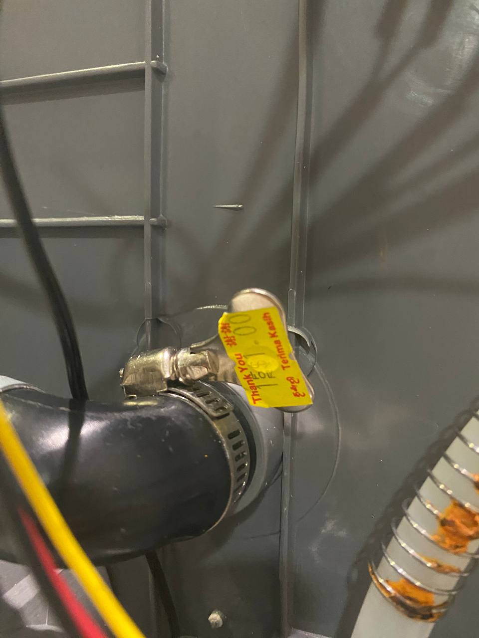 Closeup of the end of a hose with a hose clamp attached.