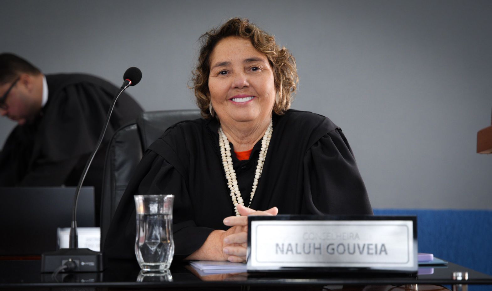 A decisão colegiada seguiu o voto da relatora, conselheira Naluh Gouveia, pela revogação da cautelar