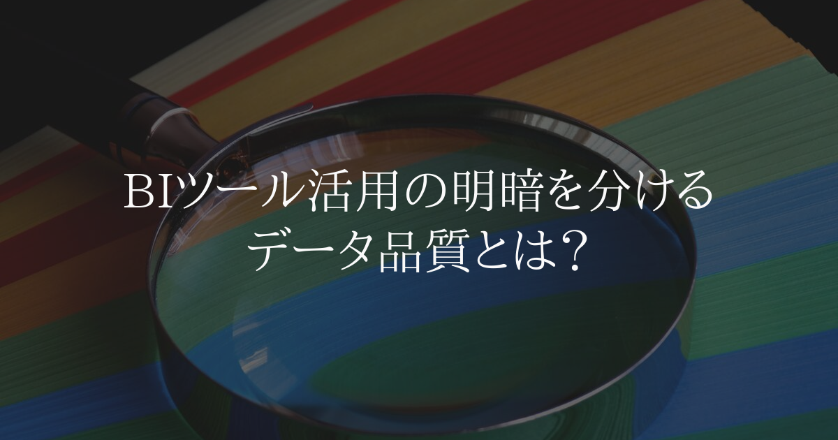 BIツール活用の明暗を分けるデータ品質とは？