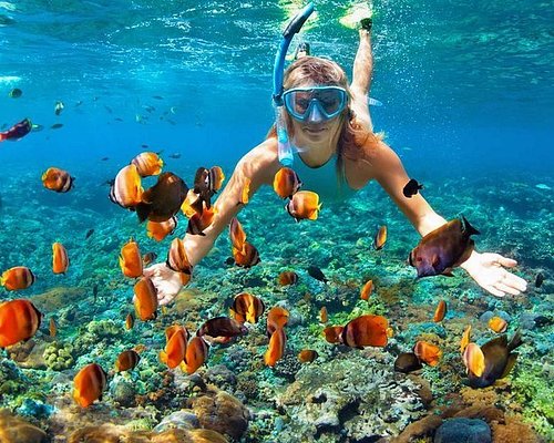 THE 15 BEST Cebu Island Private Tours (with Prices) - Tripadvisor