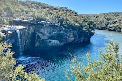 Things To Do In South Coast 2026 - Activities & Attractions ...