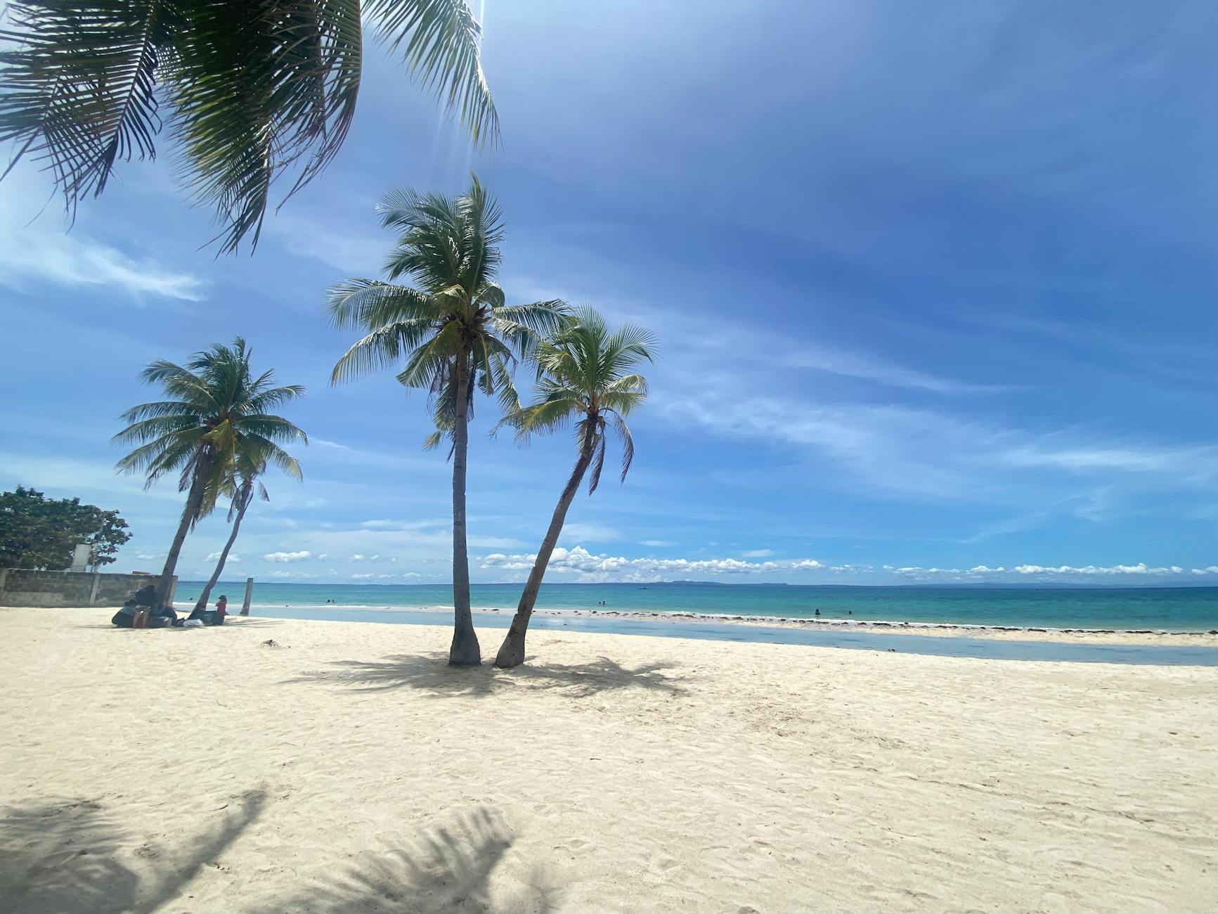 Sunny beach scene with palm trees and clear skies in Central Visayas, Philippines.