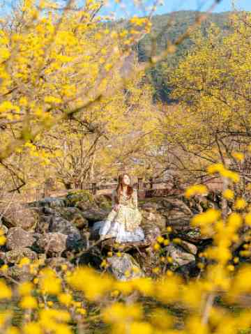 2026 Recommended Guides in Gurye (Updated January)| Trip Moments