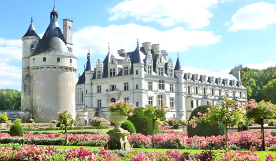 Loire valley castles Tour & day trip in English