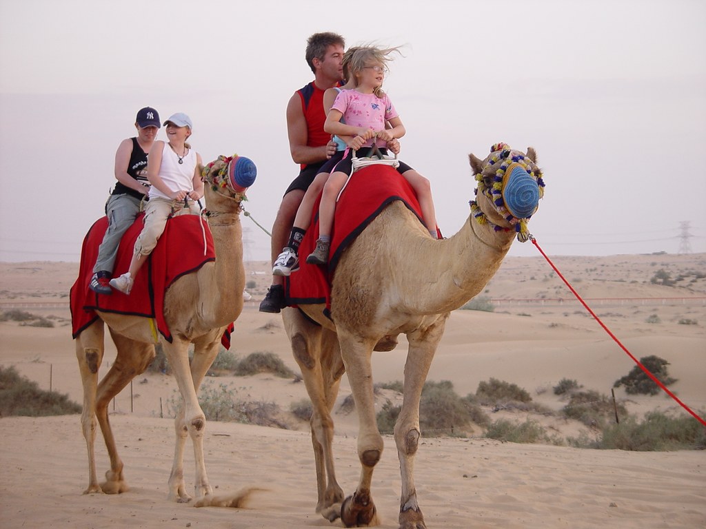 Dubai Desert Safari and Camel Rides