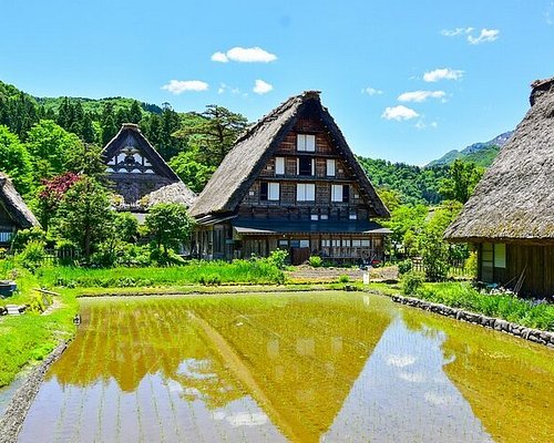THE 15 BEST Takayama Bus Tours (with Prices) - Tripadvisor