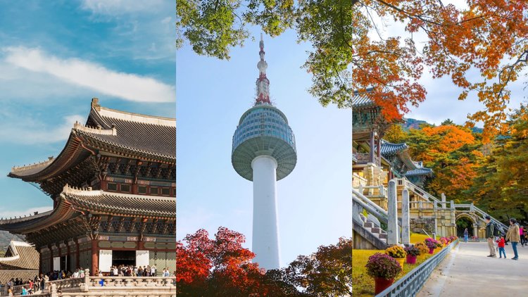 14 Days in South Korea: Must-See Attractions and Best Things to Do ...