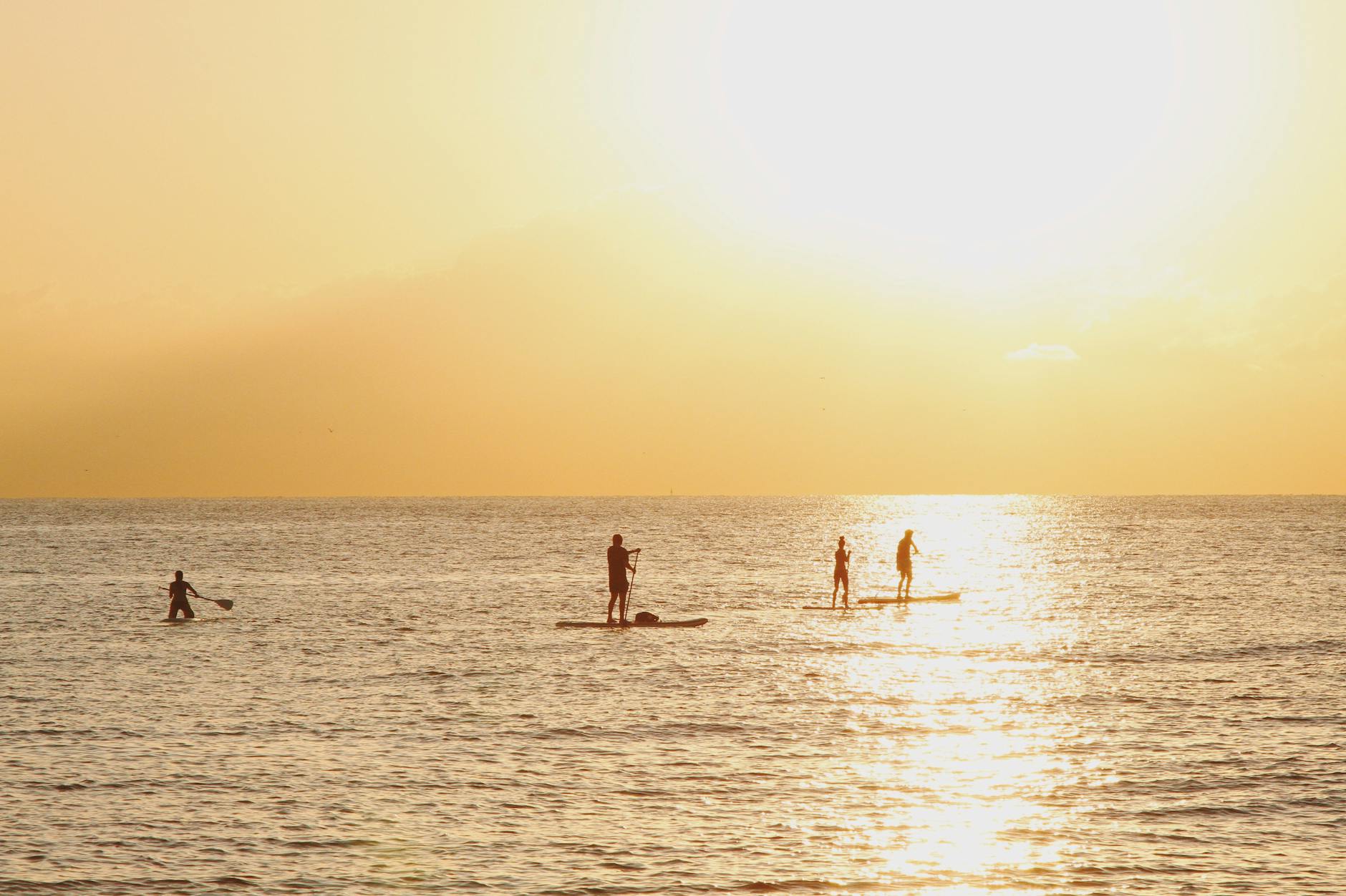 Silhouettes paddleboarding during a golden sunrise in Barcelona's serene waters.