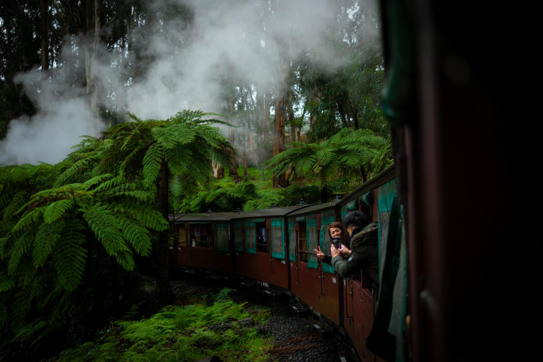 A scenic train journey through a lush forest in Belgrave, Australia, capturing the beauty of nature and adventure.