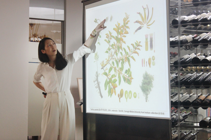 Botanical Art Class – Botanist . Scientific illustrator . HyeWoo Shin