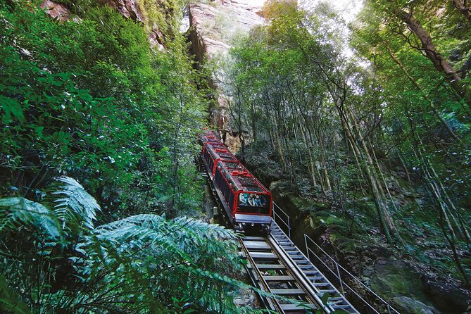 2026 Blue Mountains Adventure w Scenic World, Zoo, Koala Photo ...