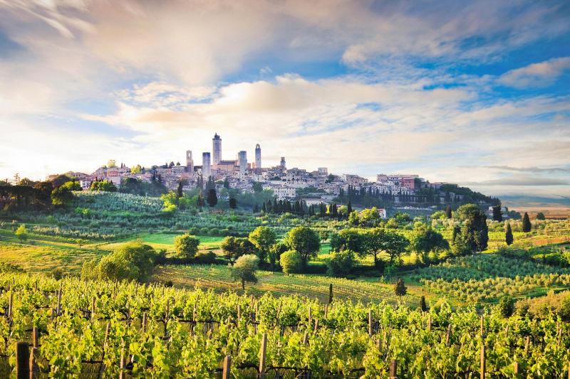 Private Siena and San Gimignano Day Trip from Florence with Winery ...