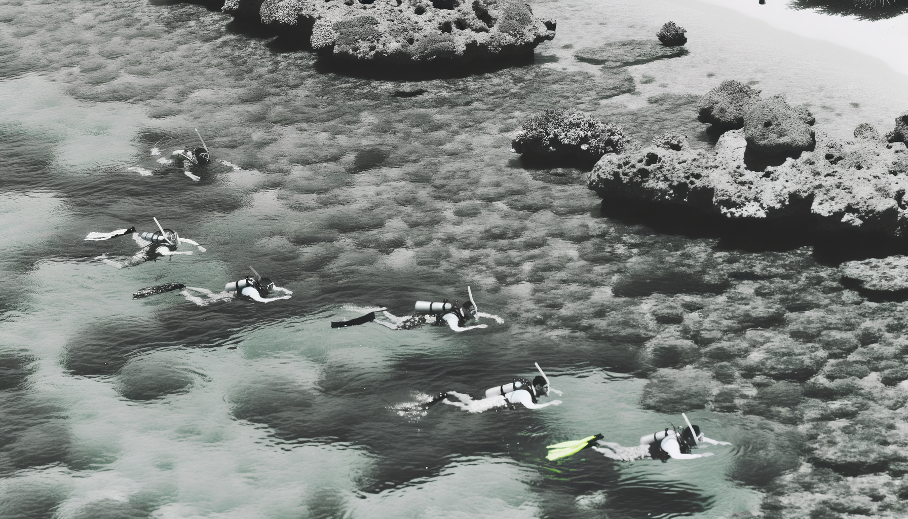 [바다거북서식포인트] 오키나와 케라마제도 투어 체험 추천