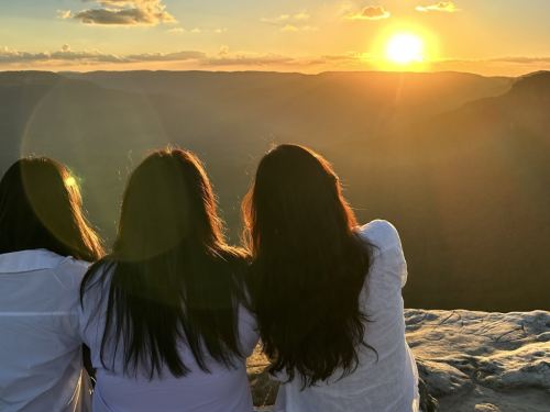 [콤보할인] 포트스테판(동물원) 블루마운틴(별보기) 현지 모습