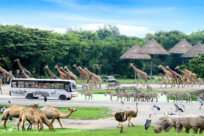 [방콕] (단독 택시 현지 모습