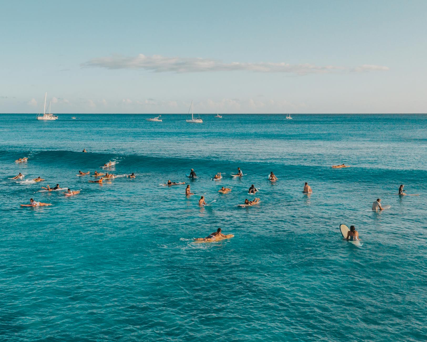 [오아후] (한국인 관광 명소