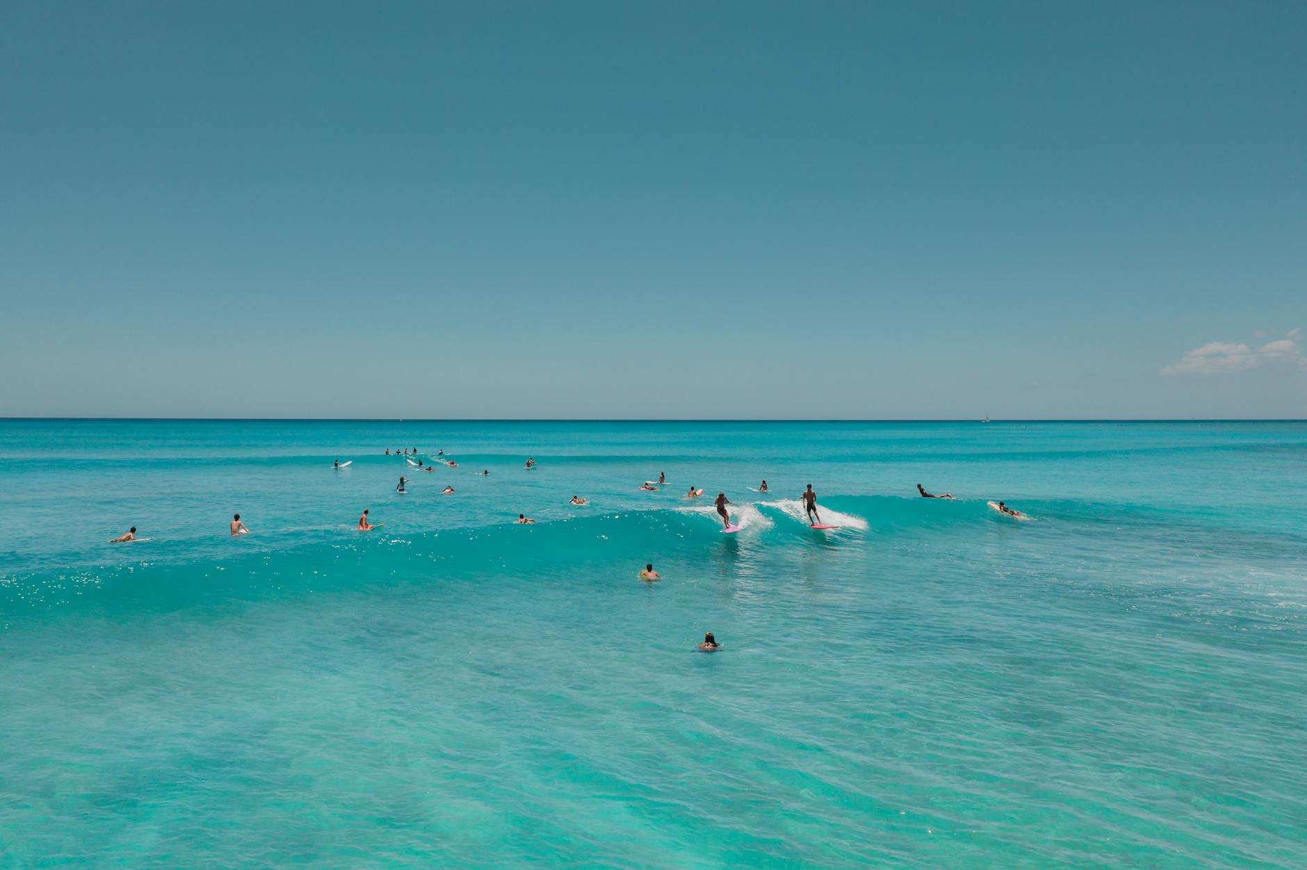 [오아후] (한국인 추천 여행지