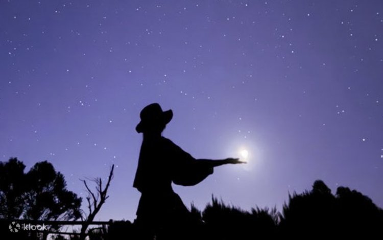 [ALL IN ONE 콤보]블루마운틴선셋별보기X포트스테판 2DAY 콤보투어 (시드니)