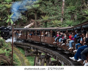 🚂 퍼핑 빌리 기차 여행 + 동화마을 감성 산책｜멜번 대표 힐링 코스·사진 명소 포함