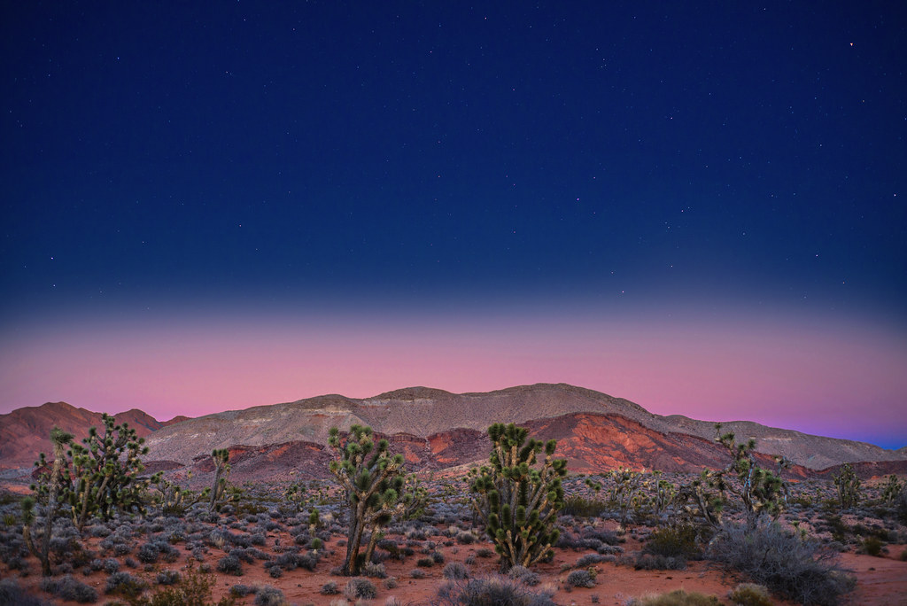 [해피 힐링] 조슈아트리와 바위들, 석양과 별 그리고 인생사진 투어!
