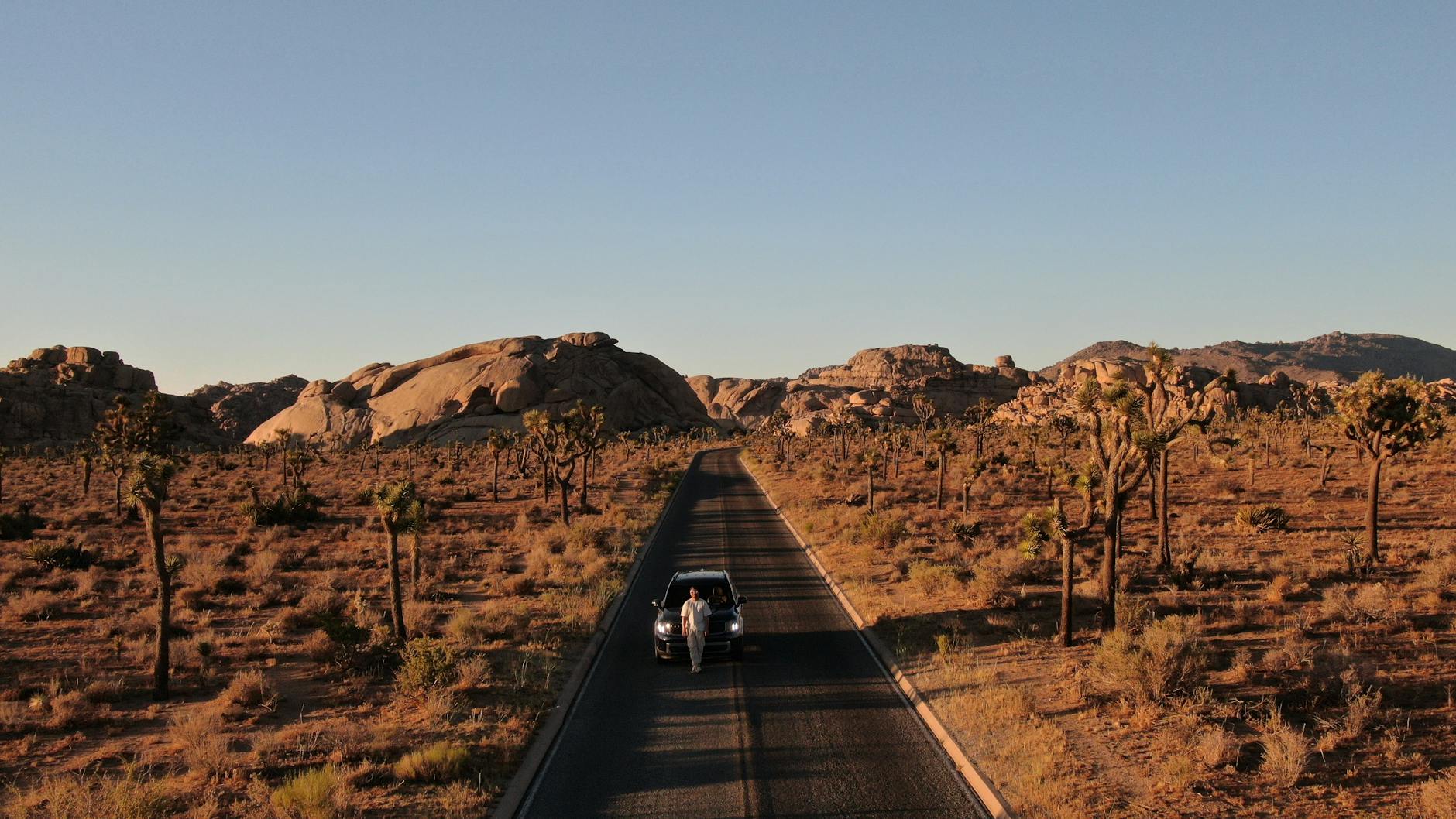 [해피 힐링] 조슈아트리와 바위들, 석양과 별 그리고 인생사진 투어!
