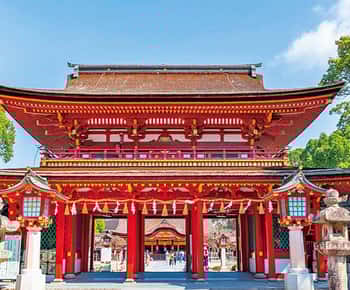 [후쿠오카 버스투어] 100프로 확정 다자이후,유후인,벳부 차량내 무료 Wi-Fi 가능