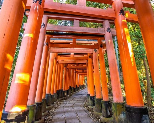 [엔데이트립] 오사카 교토 1일 버스투어 한국어 가이드 최소출발인원 1인