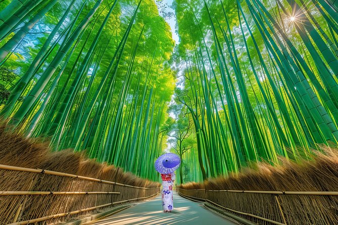 [엔데이트립] 오사카 교토 1일 버스투어 한국어 가이드 최소출발인원 1인